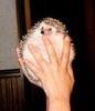 hedgehog